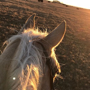 Meet your Posher, Madison